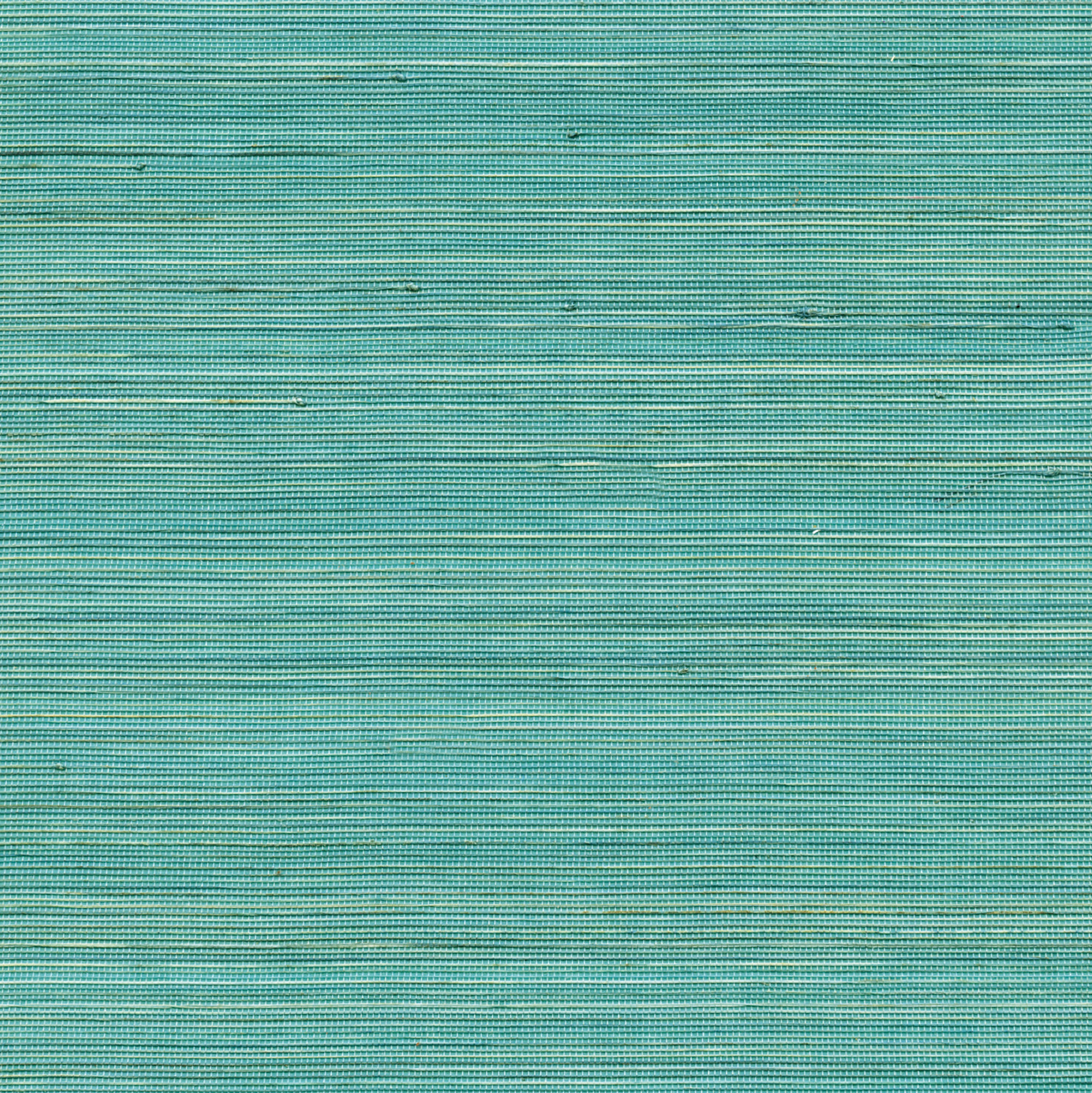 Coiba RM 110 47