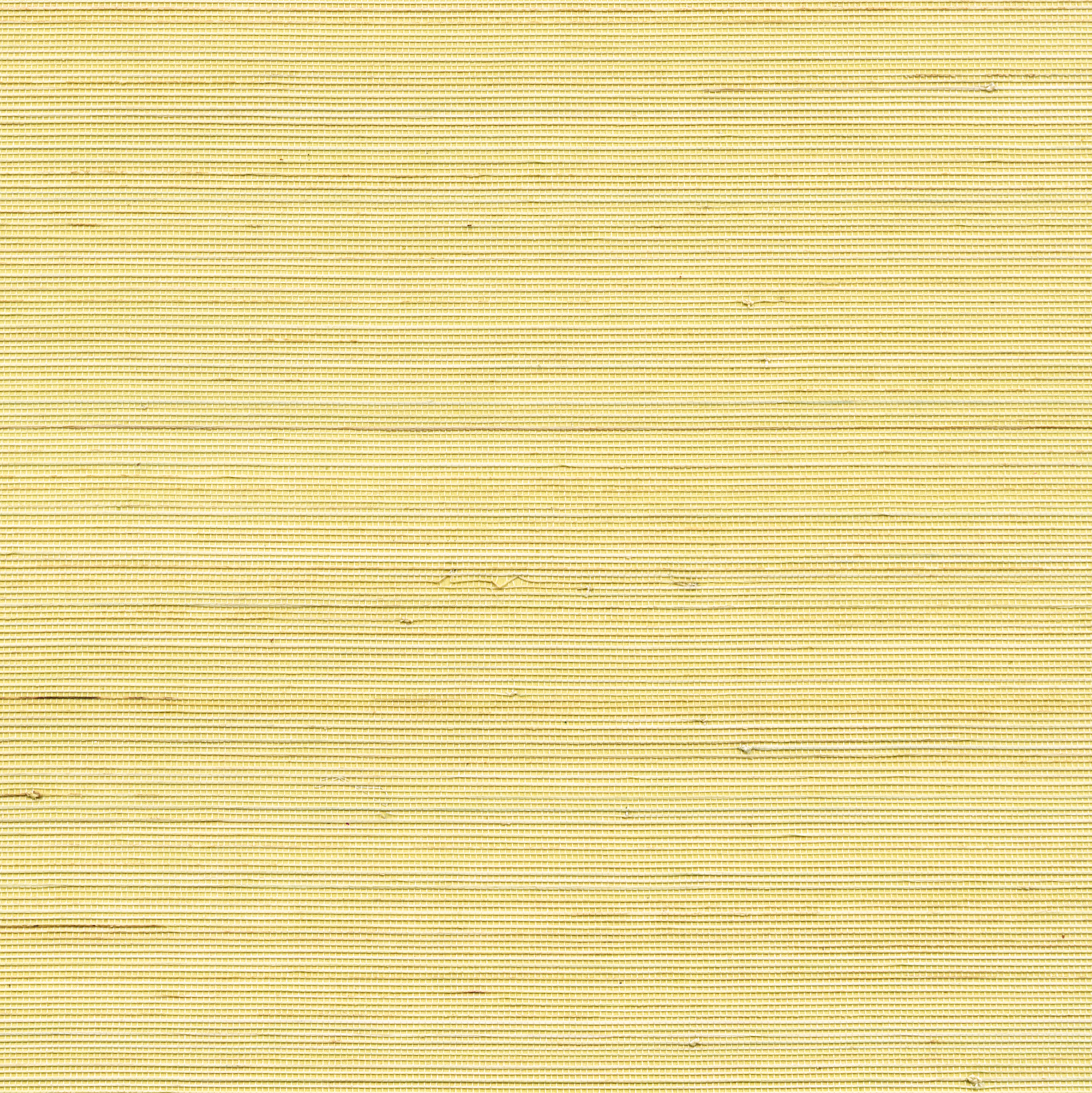 Coiba RM 110 60