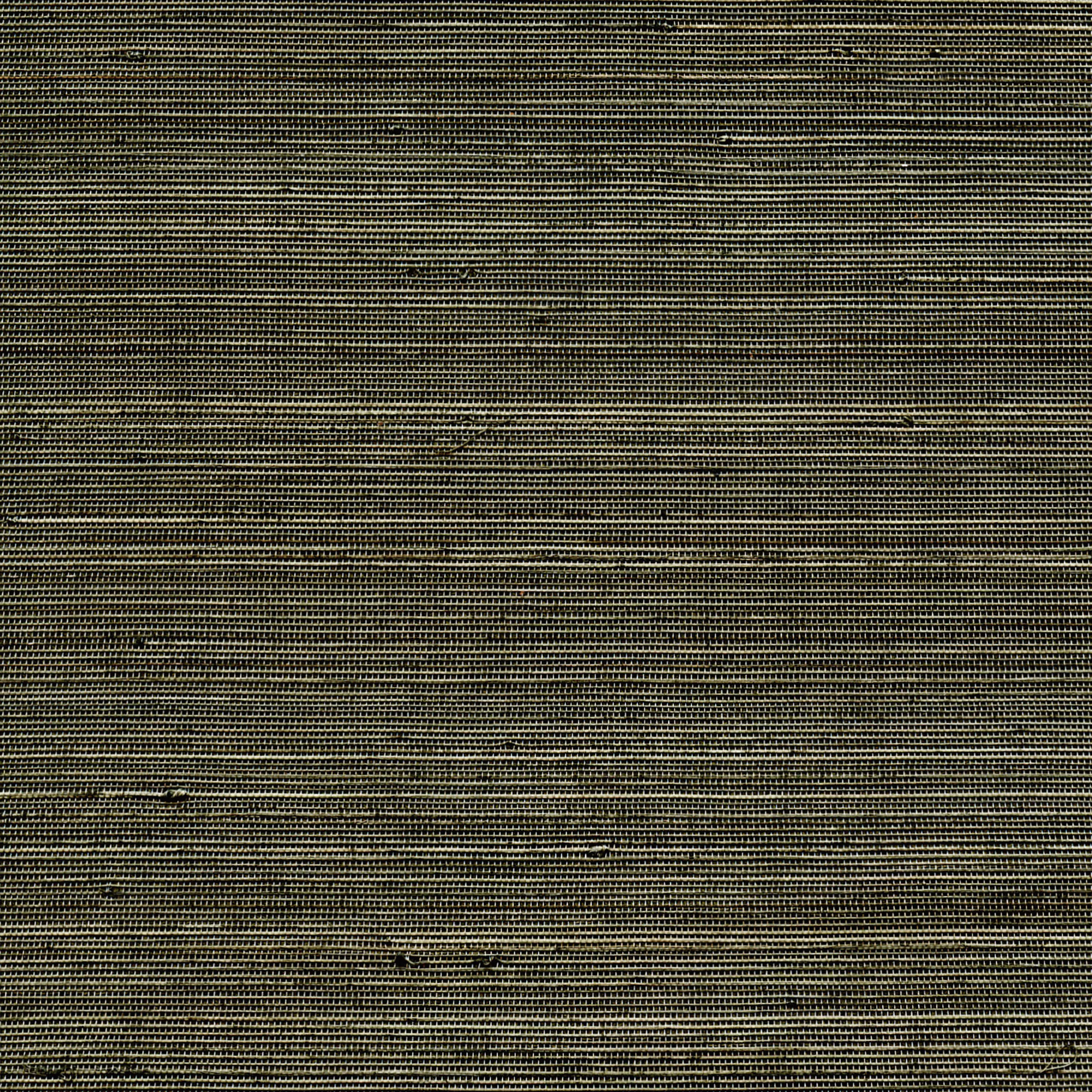Elitis - Coiba RM 110 62