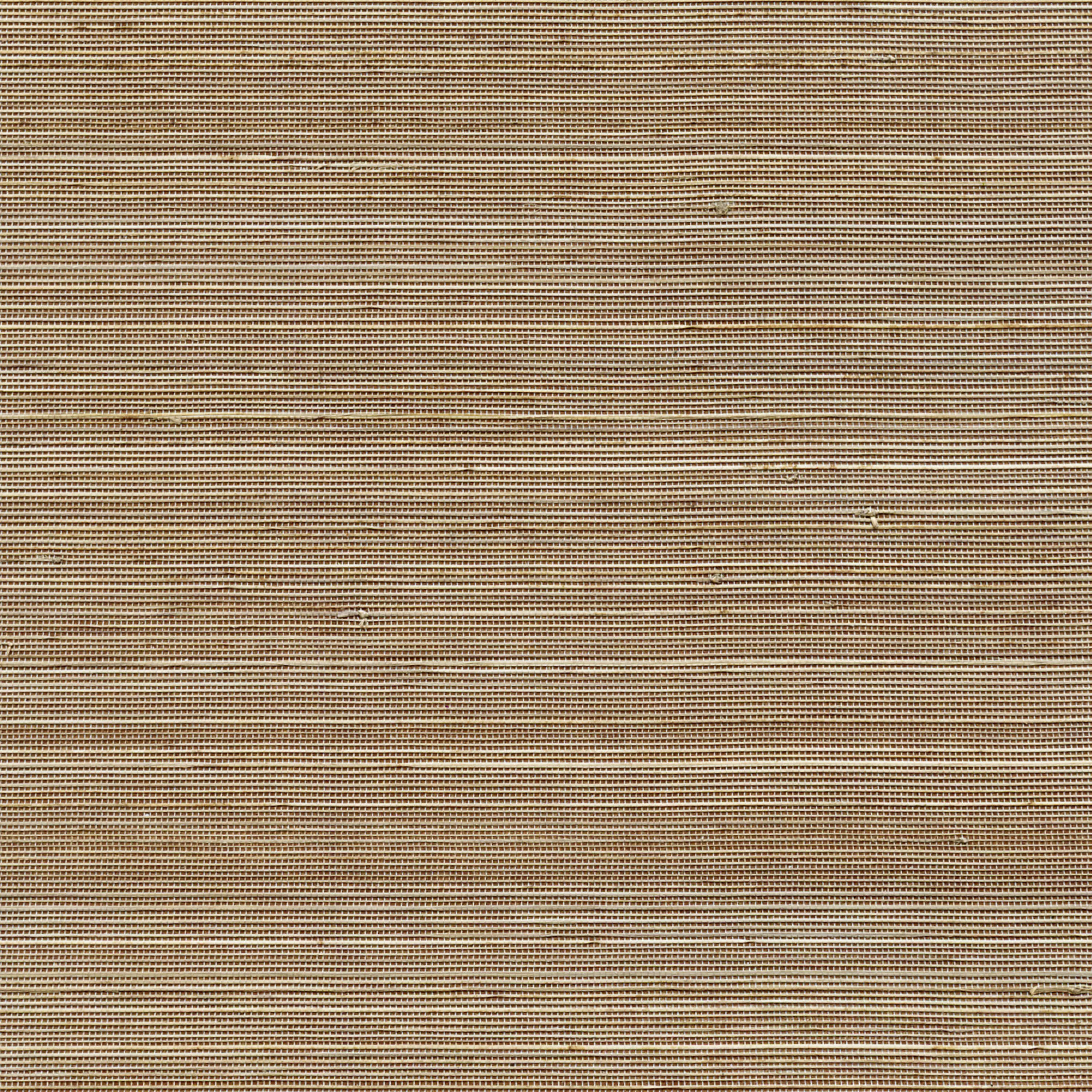 Elitis - Coiba RM 110 74