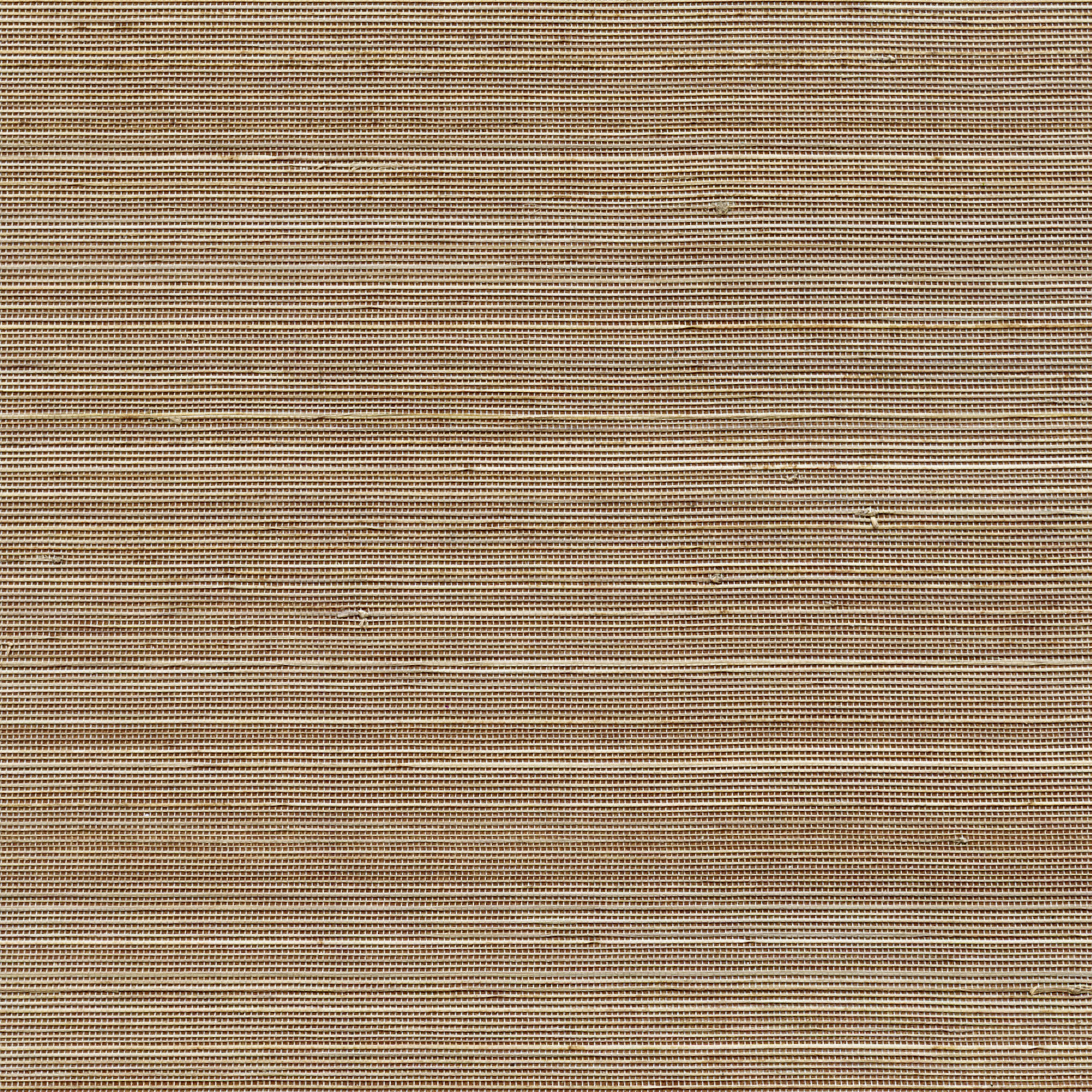 Coiba RM 110 74