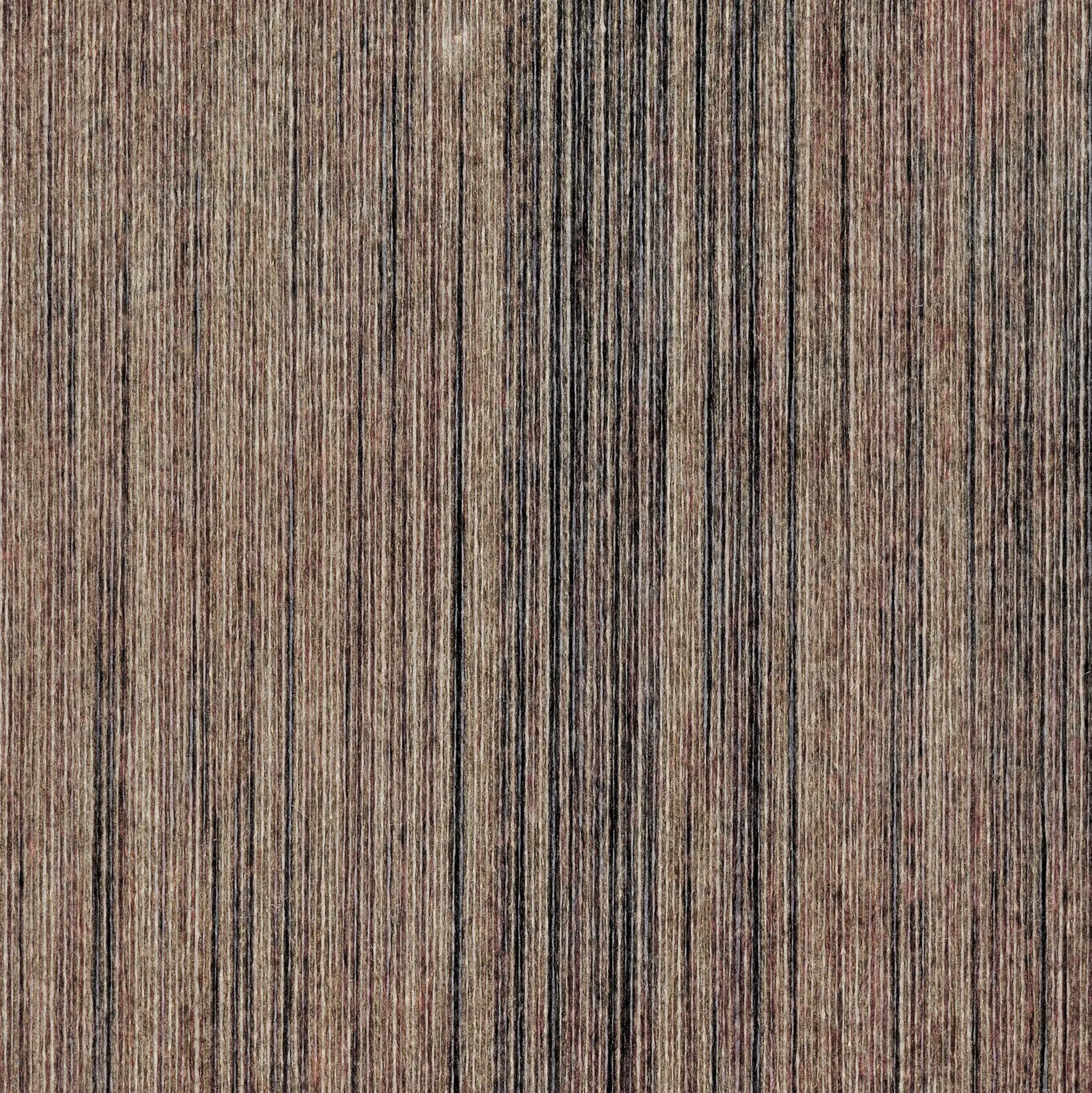 Elitis - Pop | Palaos | RM 893 75