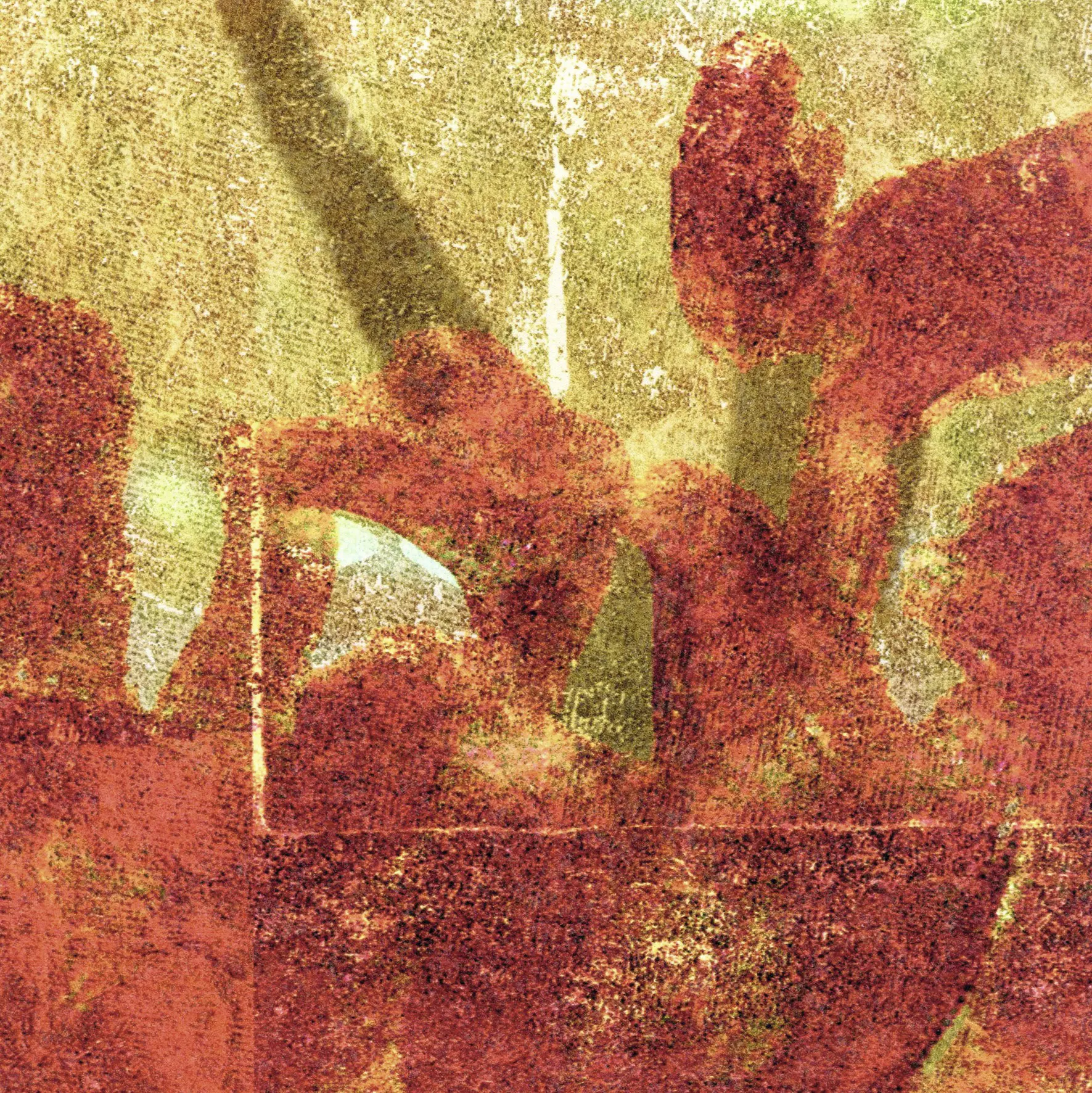 Elitis - Soleil levant | Mémoire d'un jardin | TP 283 01