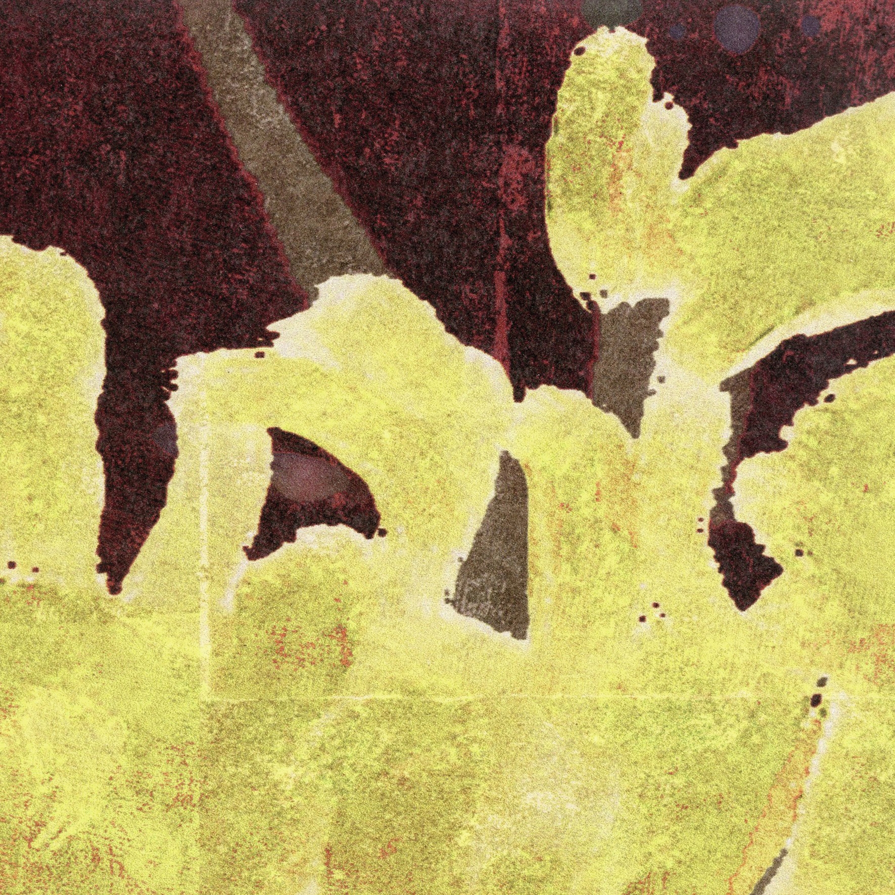 Mostrar el producto Soleil levant | Mémoire d'un jardin | TP 283 02 del fabricante Elitis