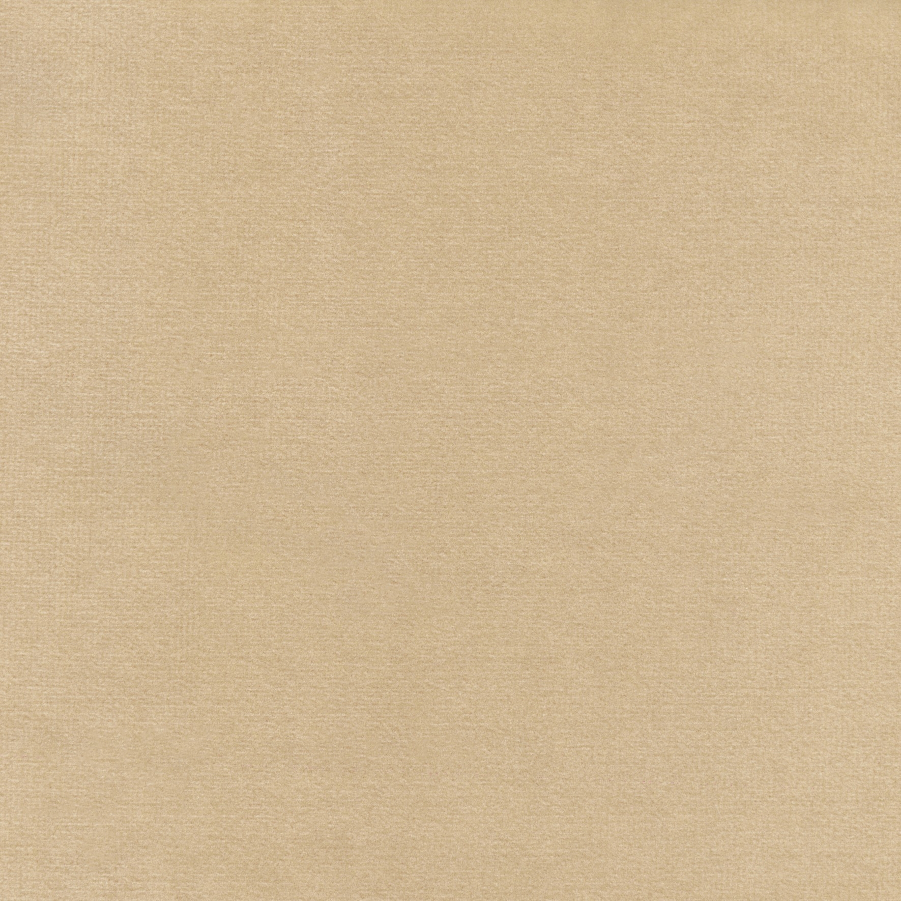 Palatine | LB 710 03