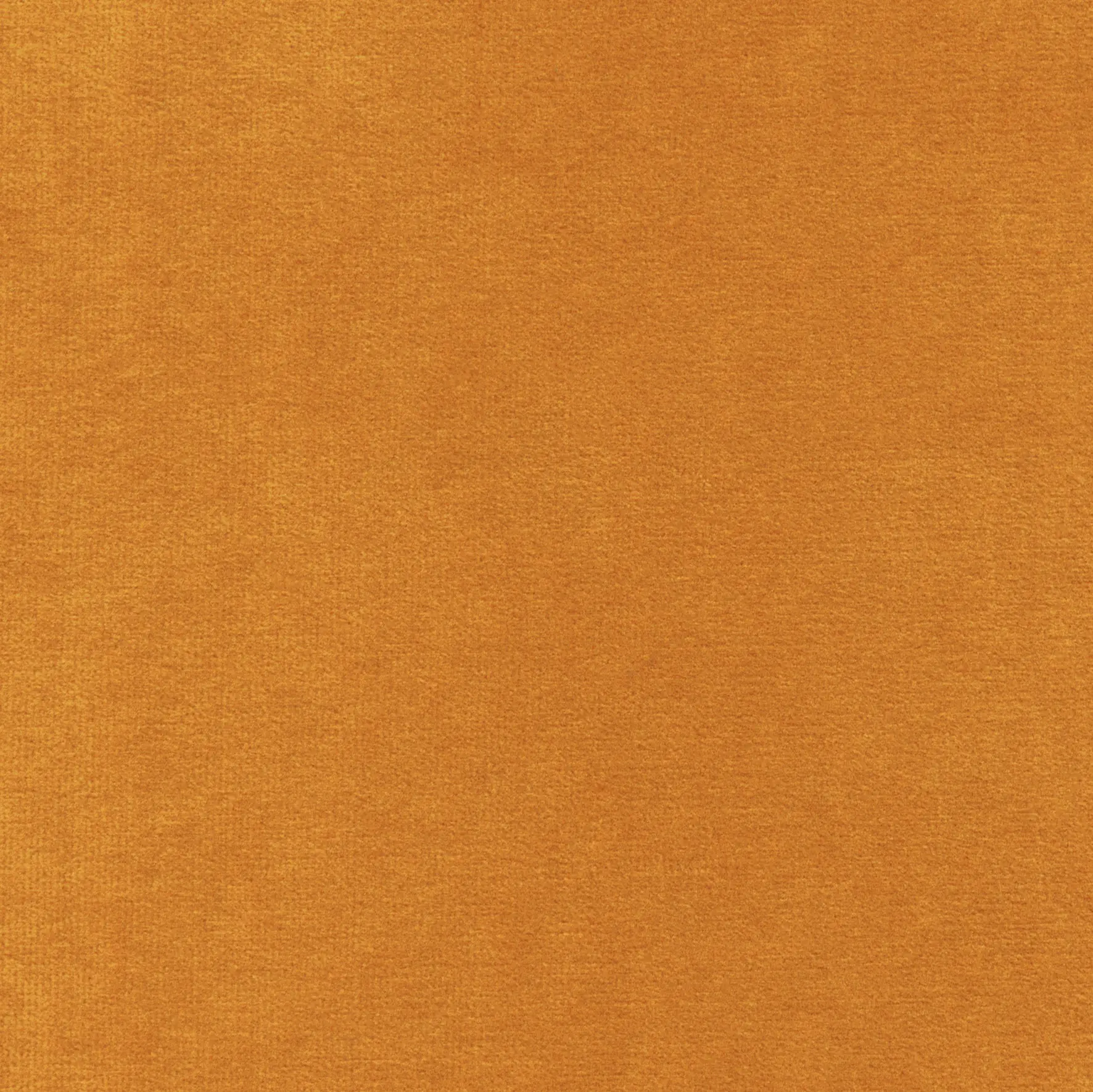 Elitis - Palatine | LB 710 34