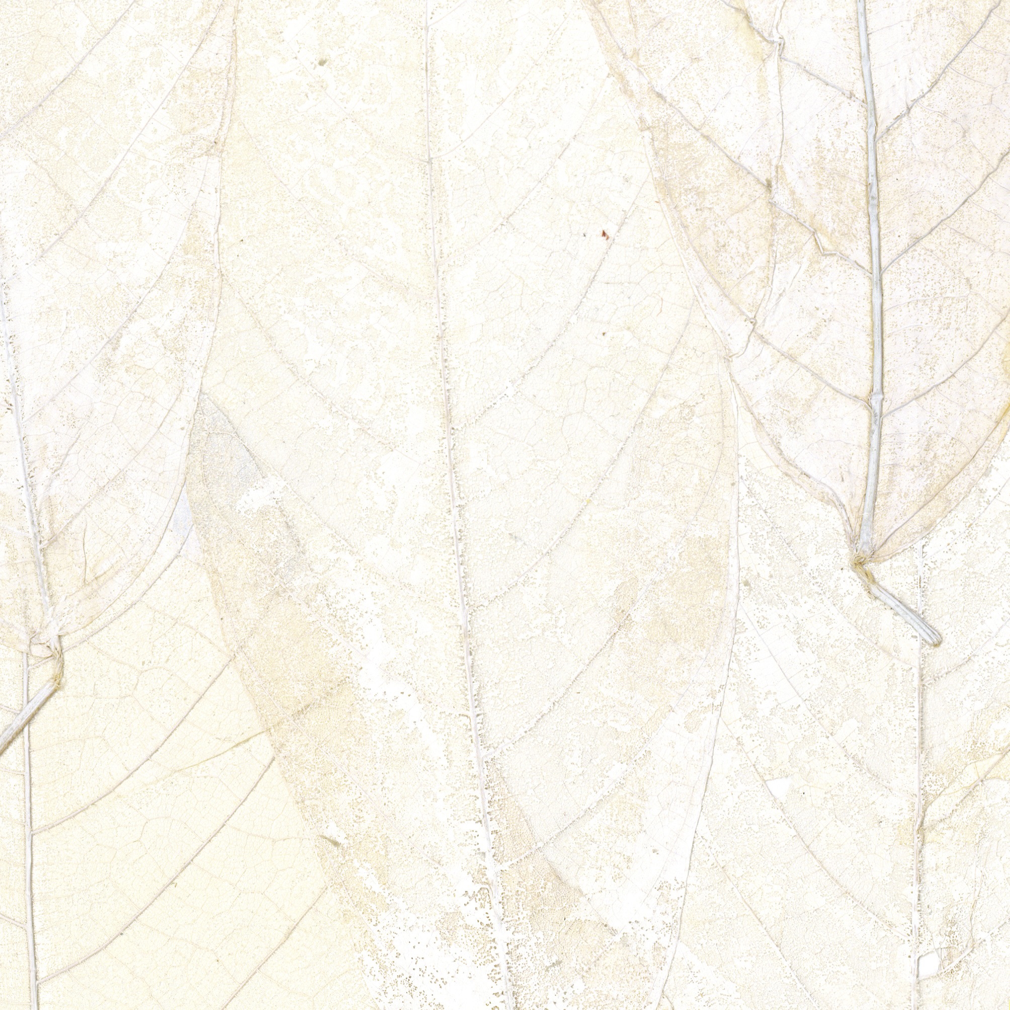 Display product Écrin | Blanche neige | RM 972 01 from manufacturer Elitis