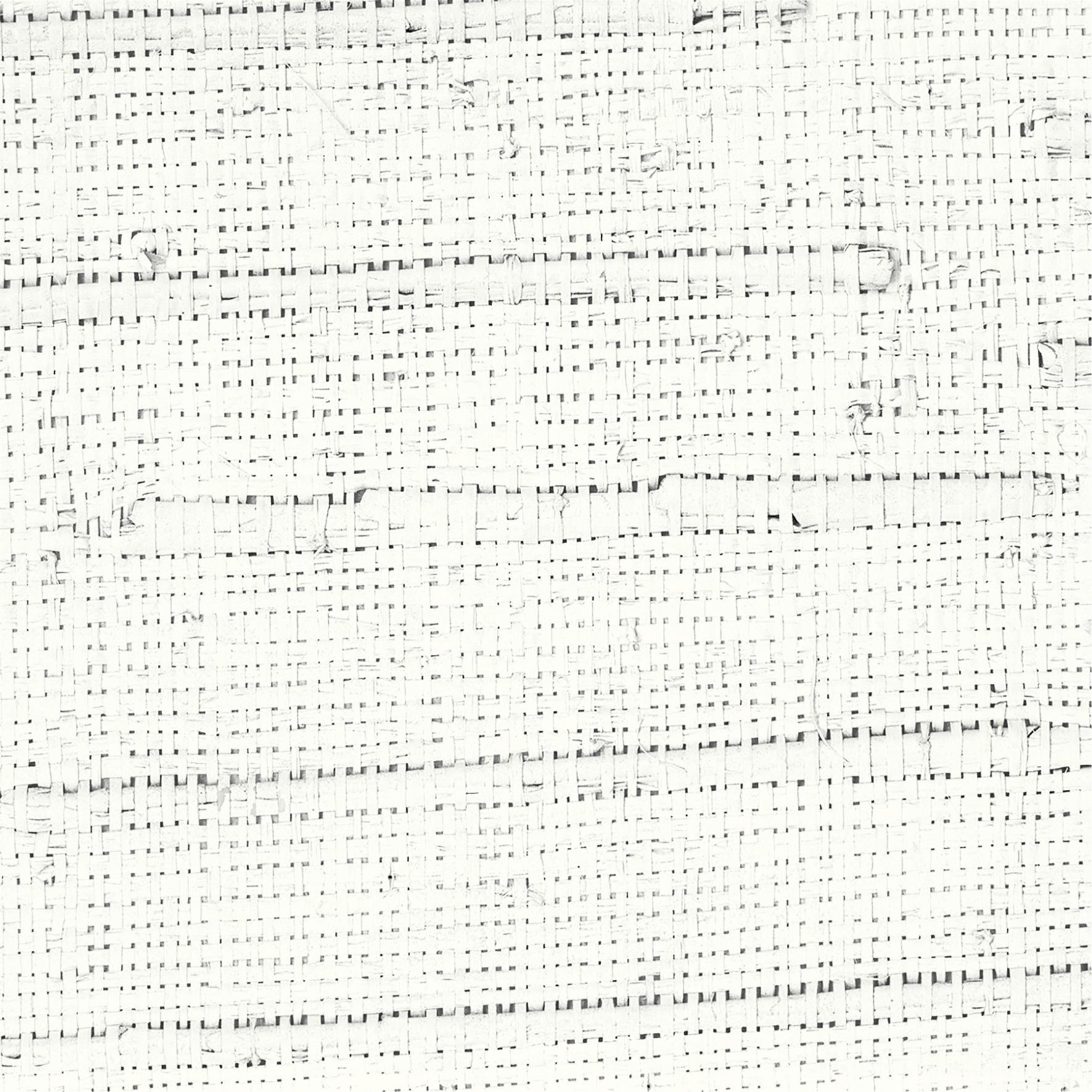 Display product Raw raffia | Iranja | RM 978 01 from manufacturer Elitis