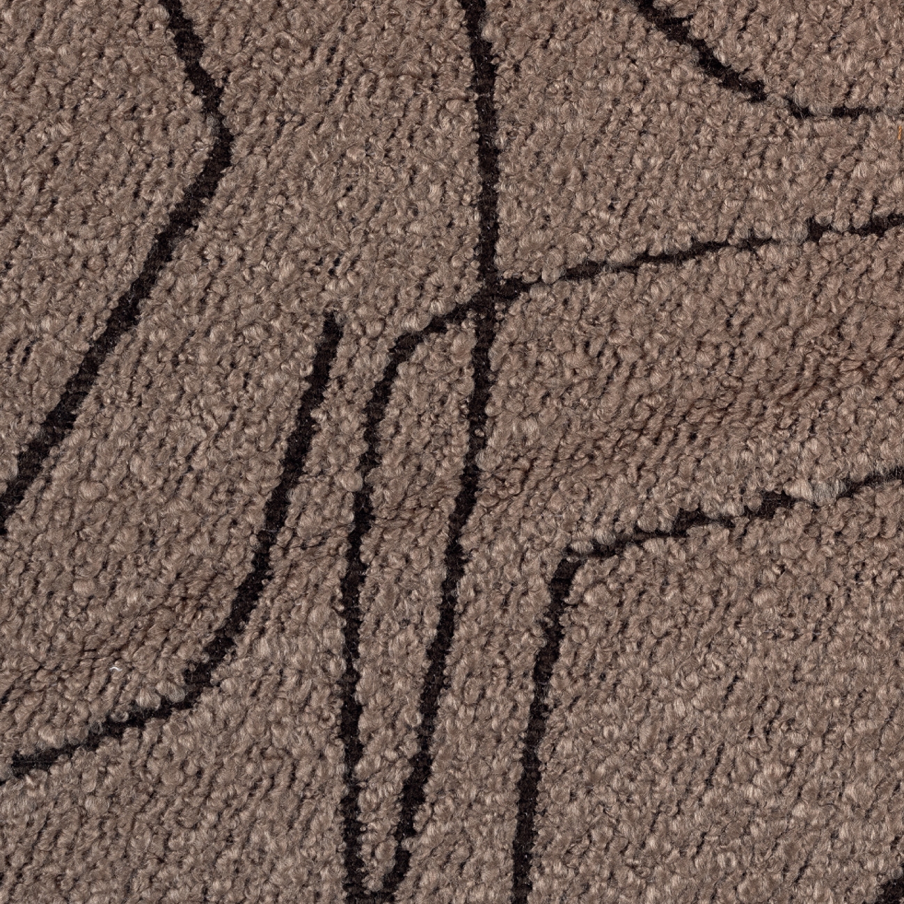 Alchimia | Terrain graphique | LR 345 05