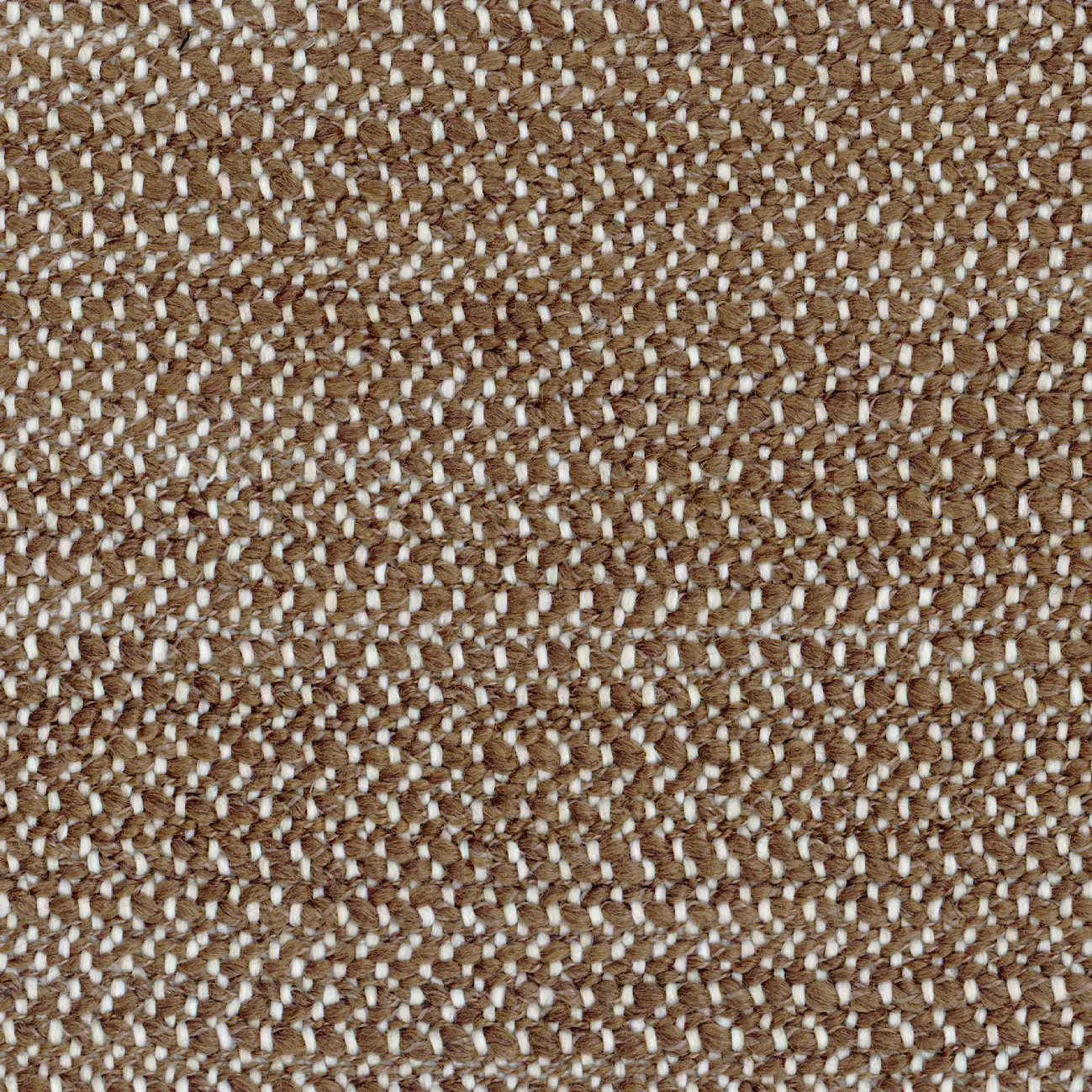 Elitis - Alpilles | Chêne truffier | OD 133 72