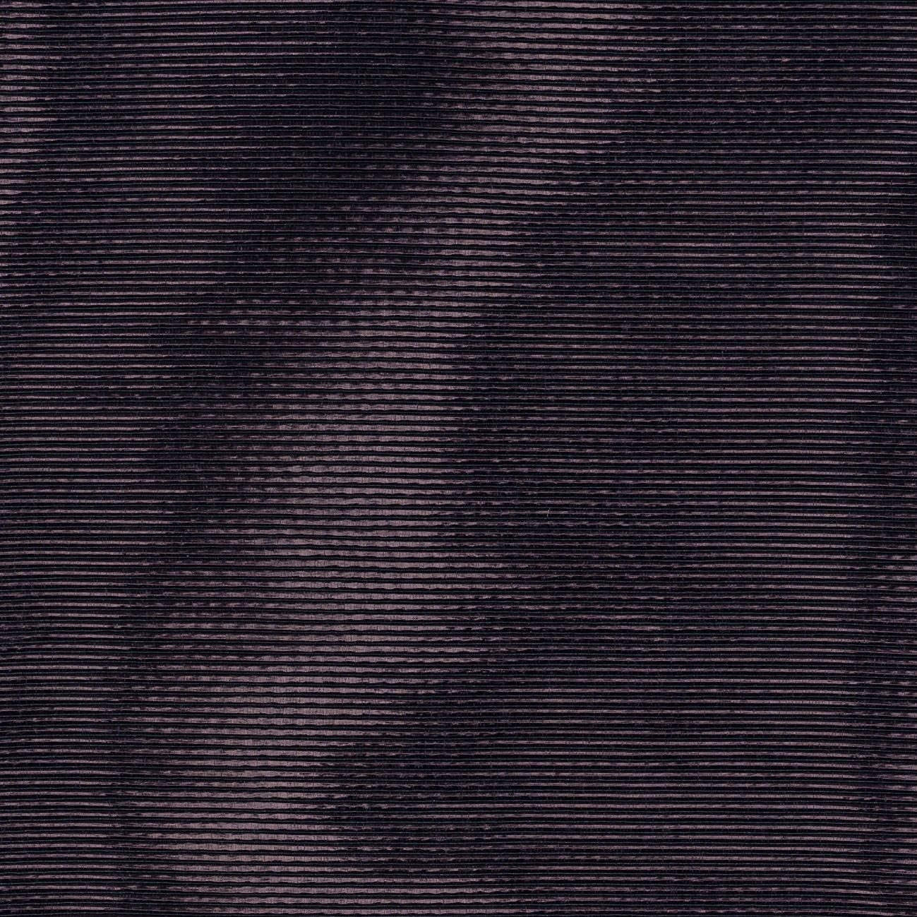 Moire | Une force vivifiante | RM 1026 39