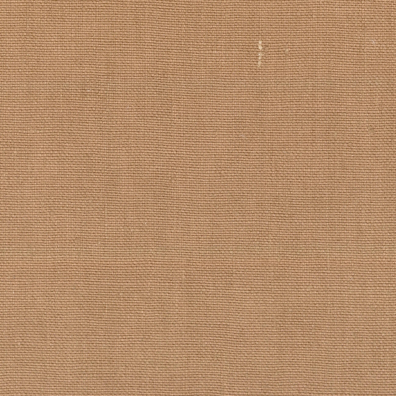 Kaila | Condor Des Andes | Li 890 08