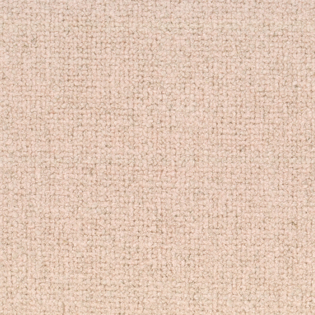 Zelia | Coraux Tièdes | Lw 903 59