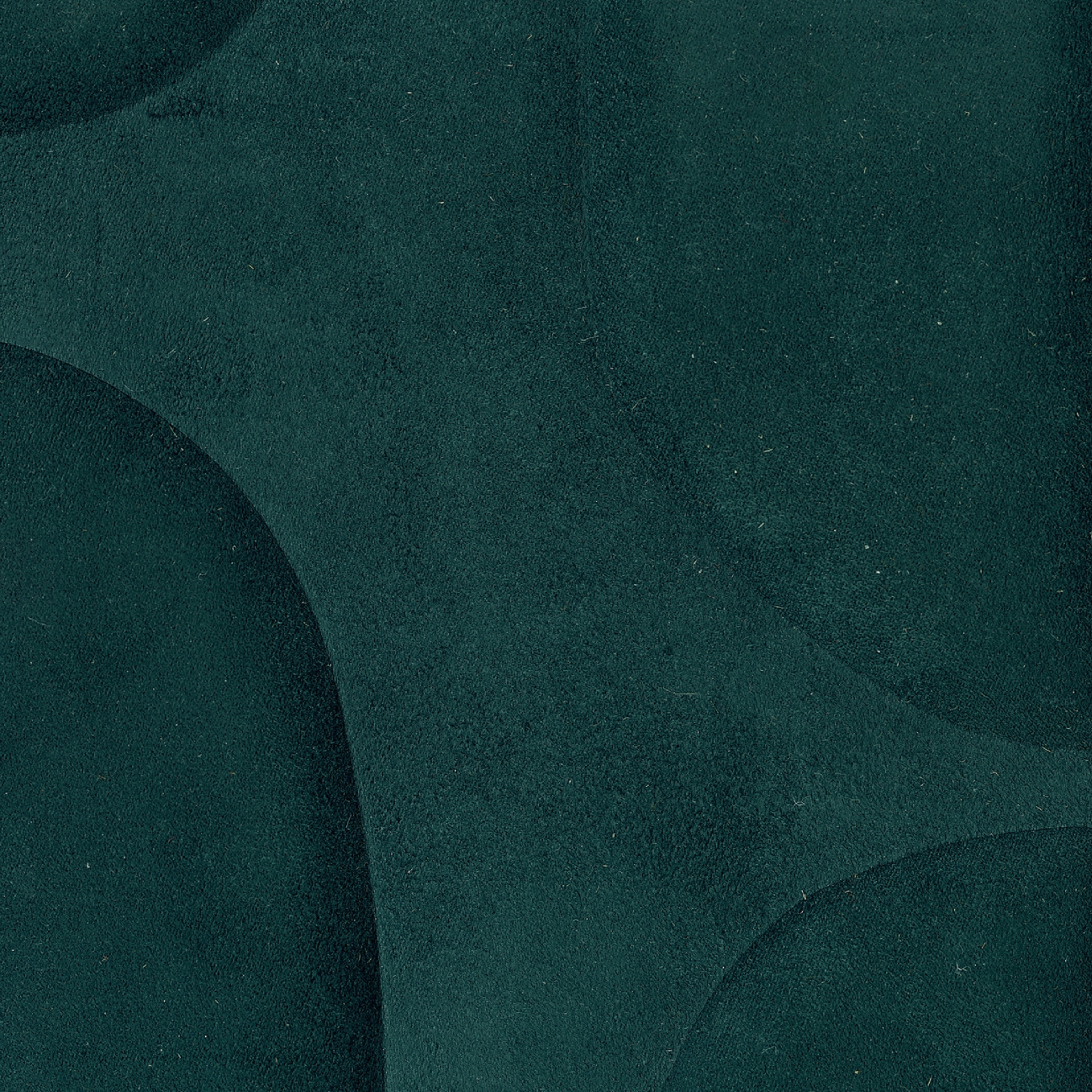 Forms | Le sentier des effluves | RM 1052 67