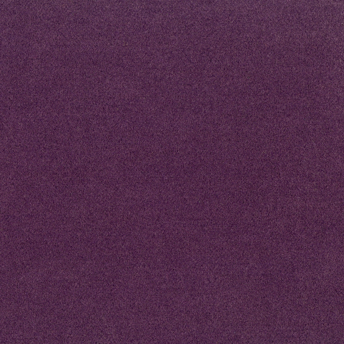 Inlassable | Salon d'automne | WO 117 54