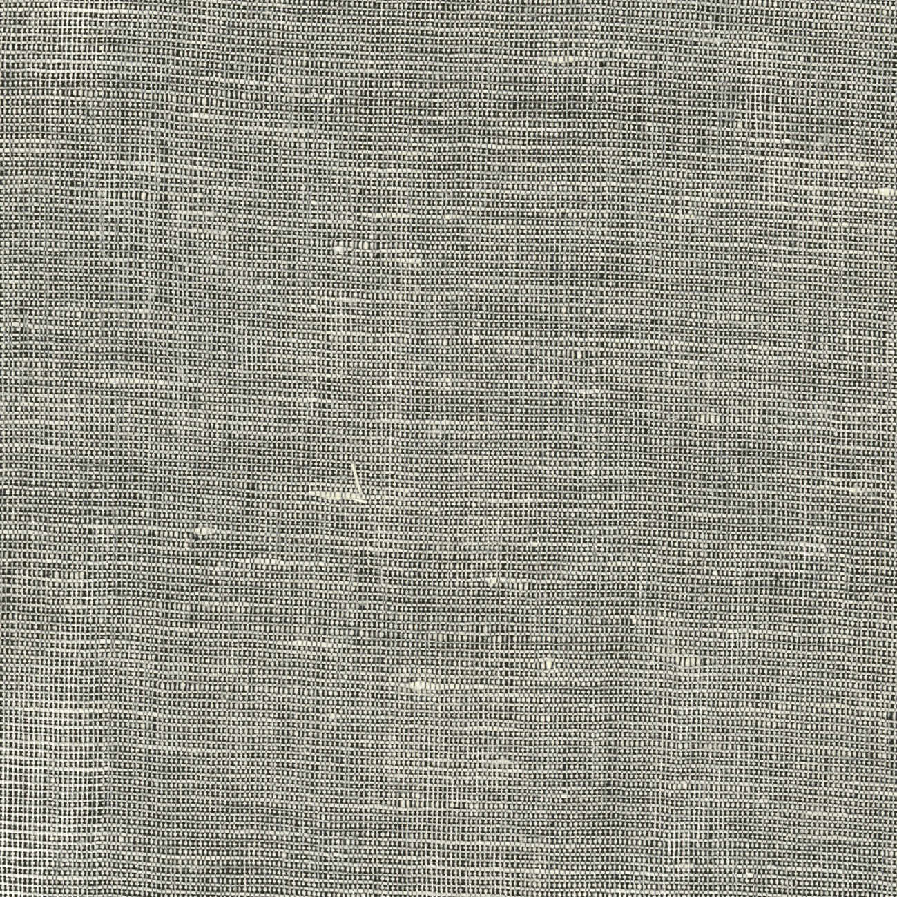 Palacio | Règles de l'art | LI 902 05