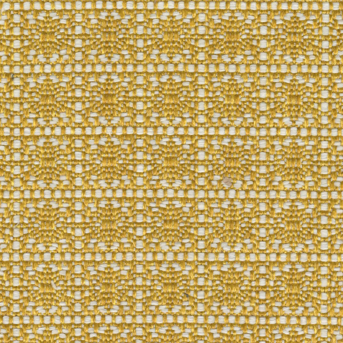 Elitis - Venice Beach | Lumière californienne | OD 144 22