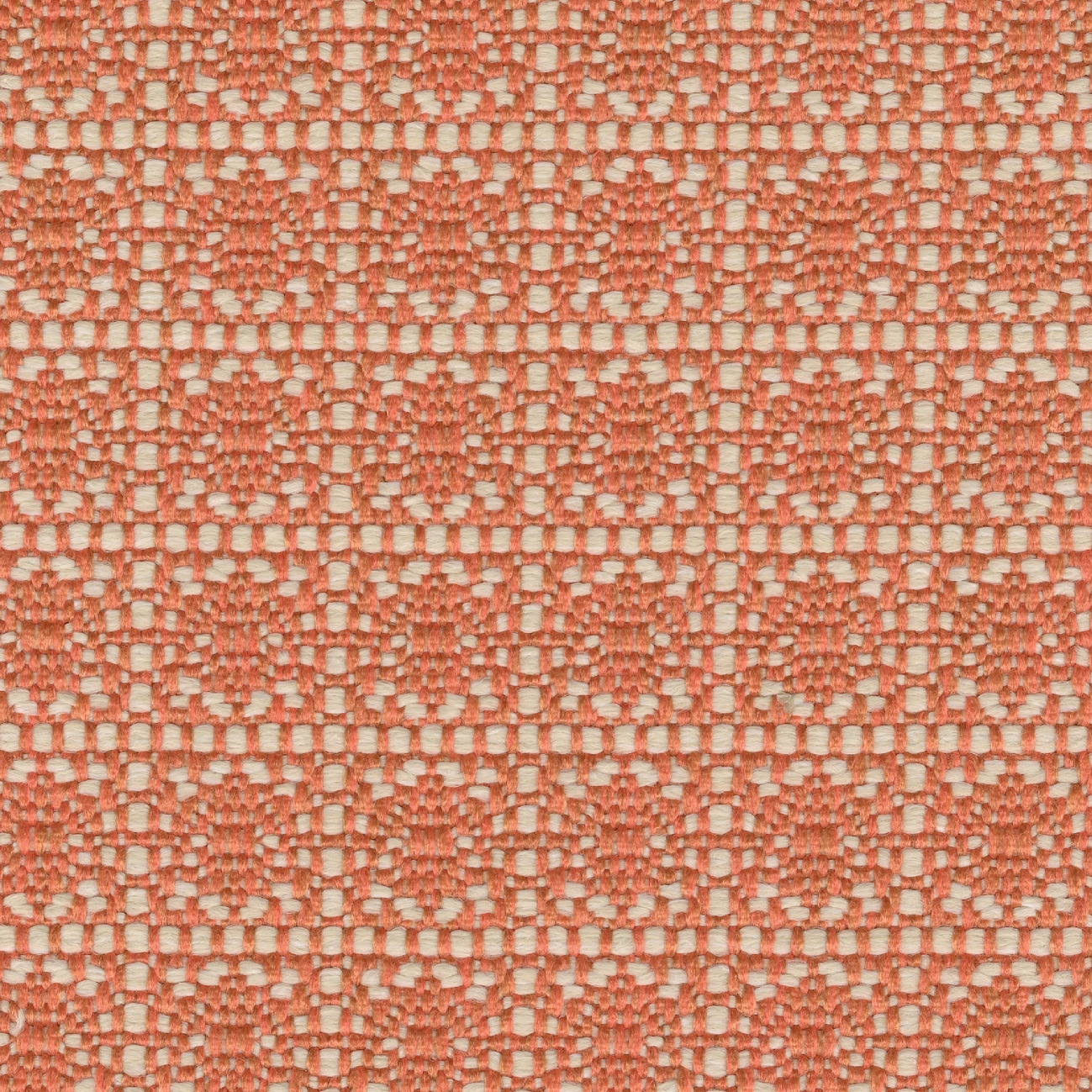 Venice Beach | Fleur d'hibiscus | OD 144 38