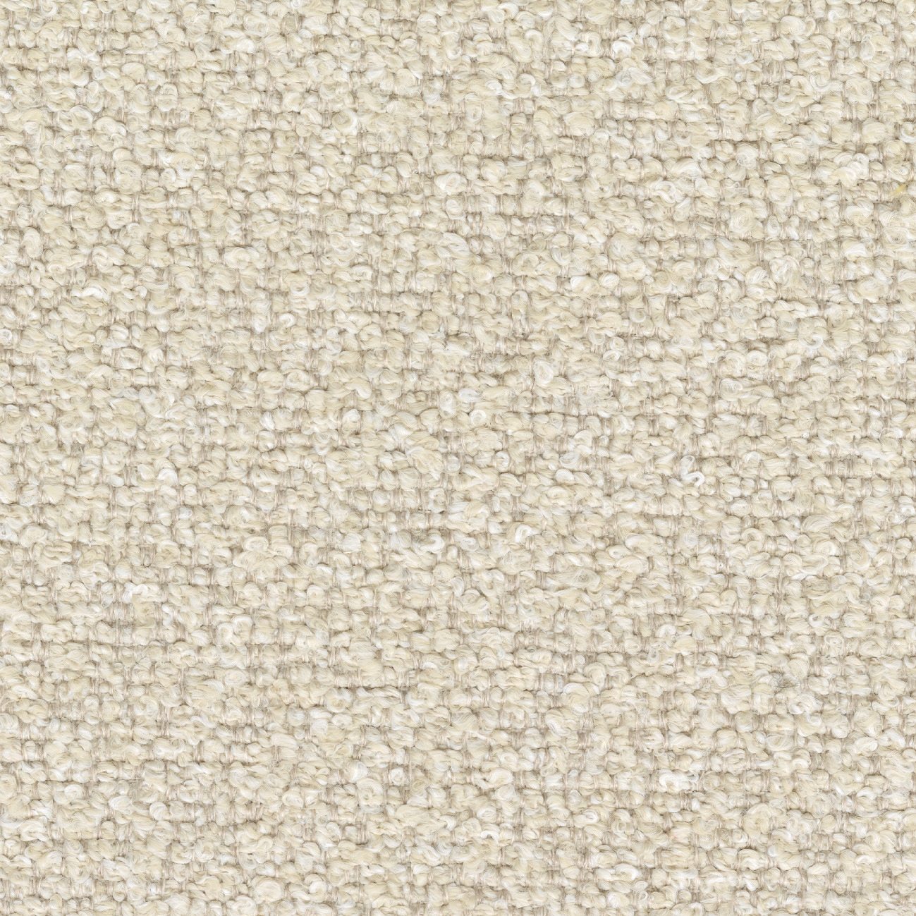 Venice Beach | Dompter la route | OD 146 04