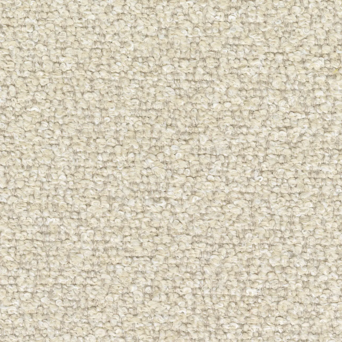 Elitis - Venice Beach | Dompter la route | OD 146 04