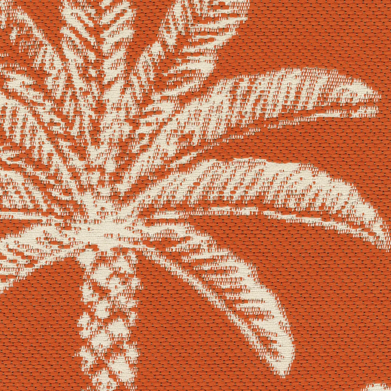 Elitis - Venice Beach | Overdose au casino | OD 147 38