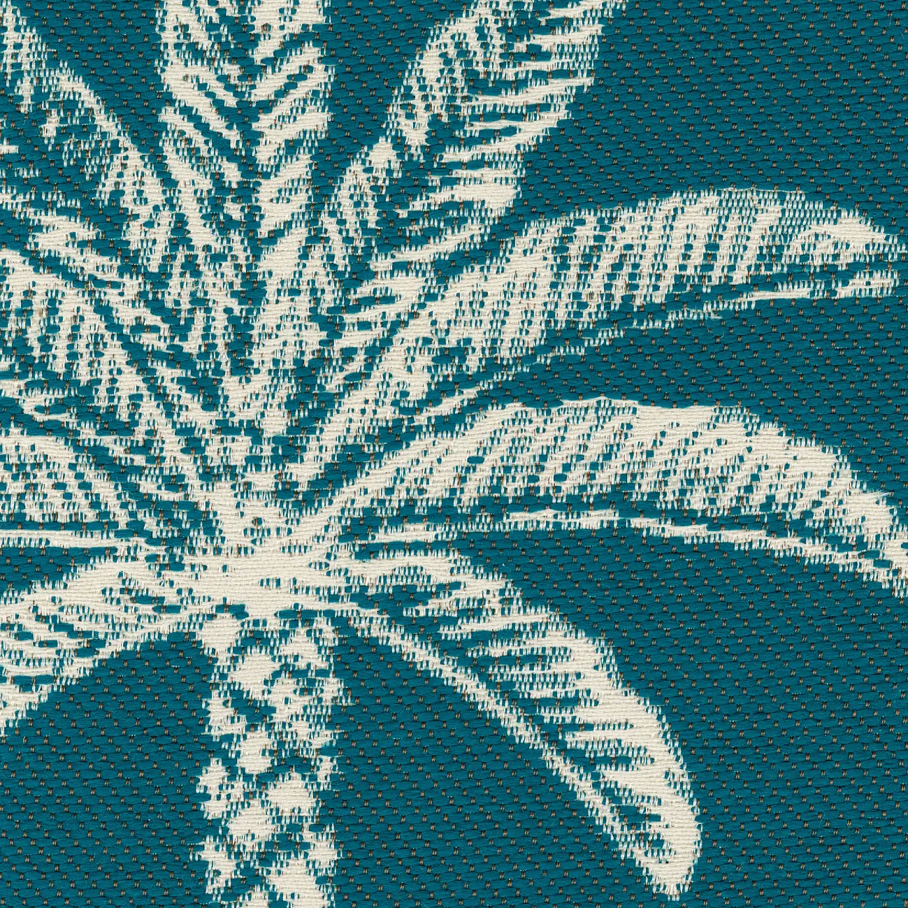 Elitis - Venice Beach | Surfer sur la vague | OD 147 45