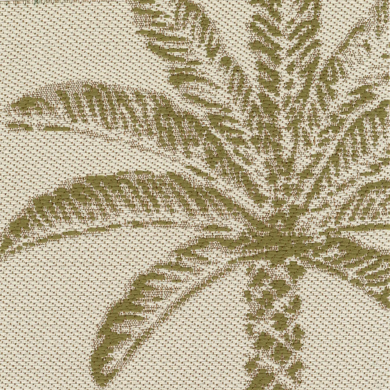 Elitis - Venice Beach | Palm Springs | OD 147 66