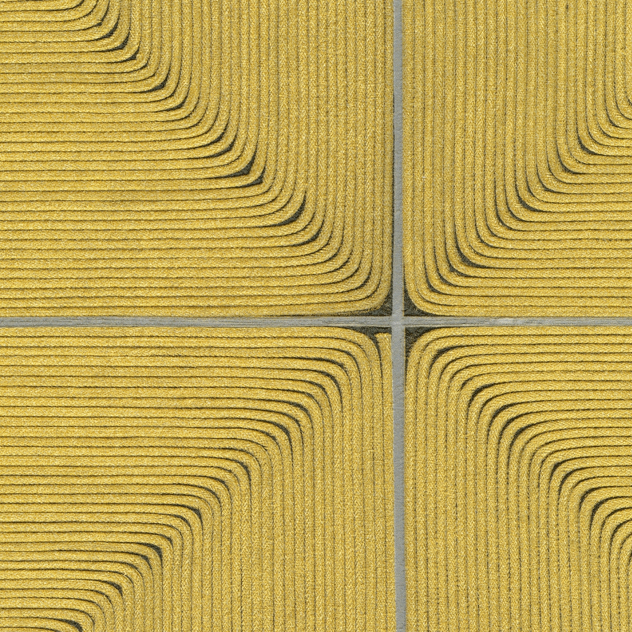 Cordes sensibles x Véronique de Soultrait | Comme une onde lumineuse | VP 997 20