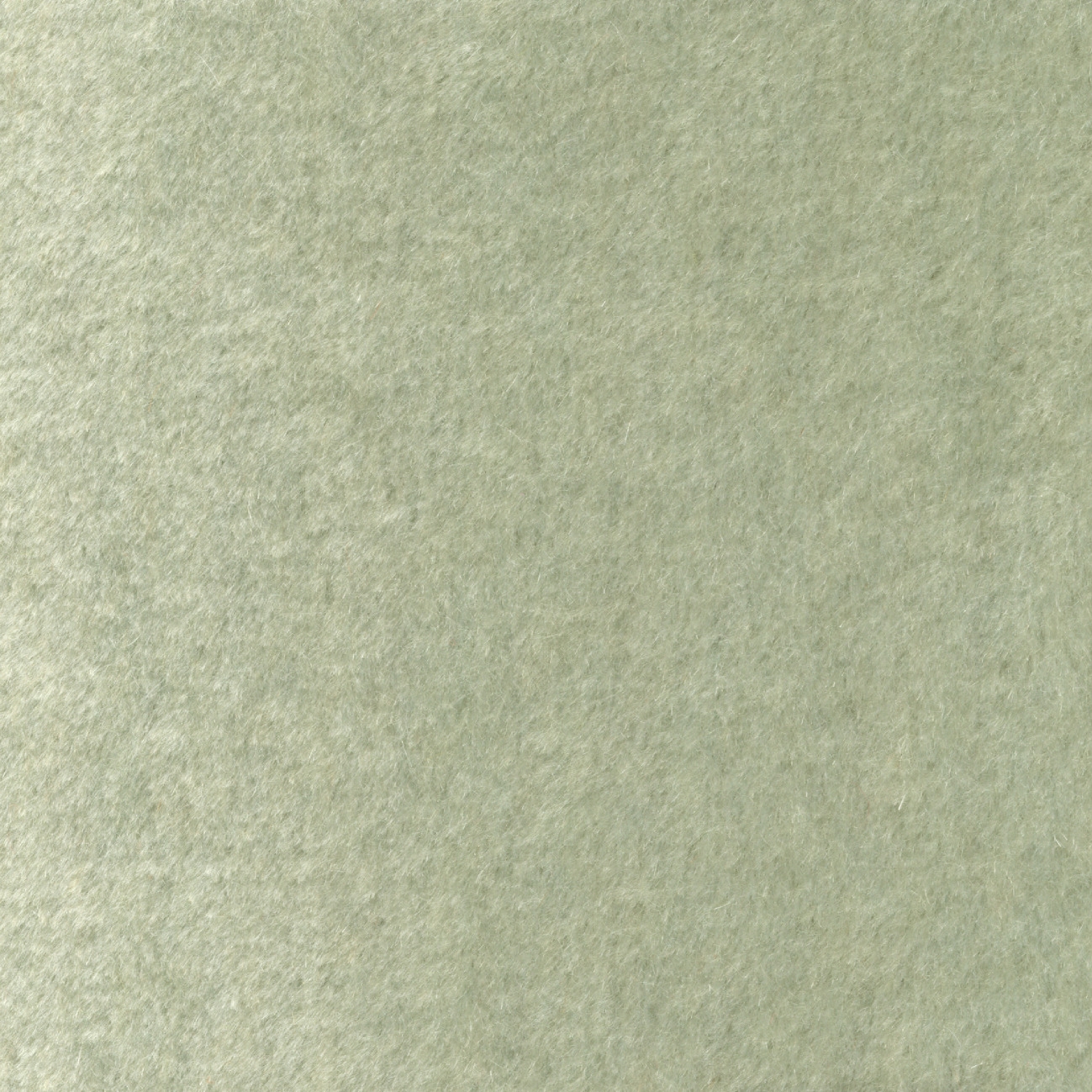 Pur mohair II | Un chasse-spleen | WO 108 64