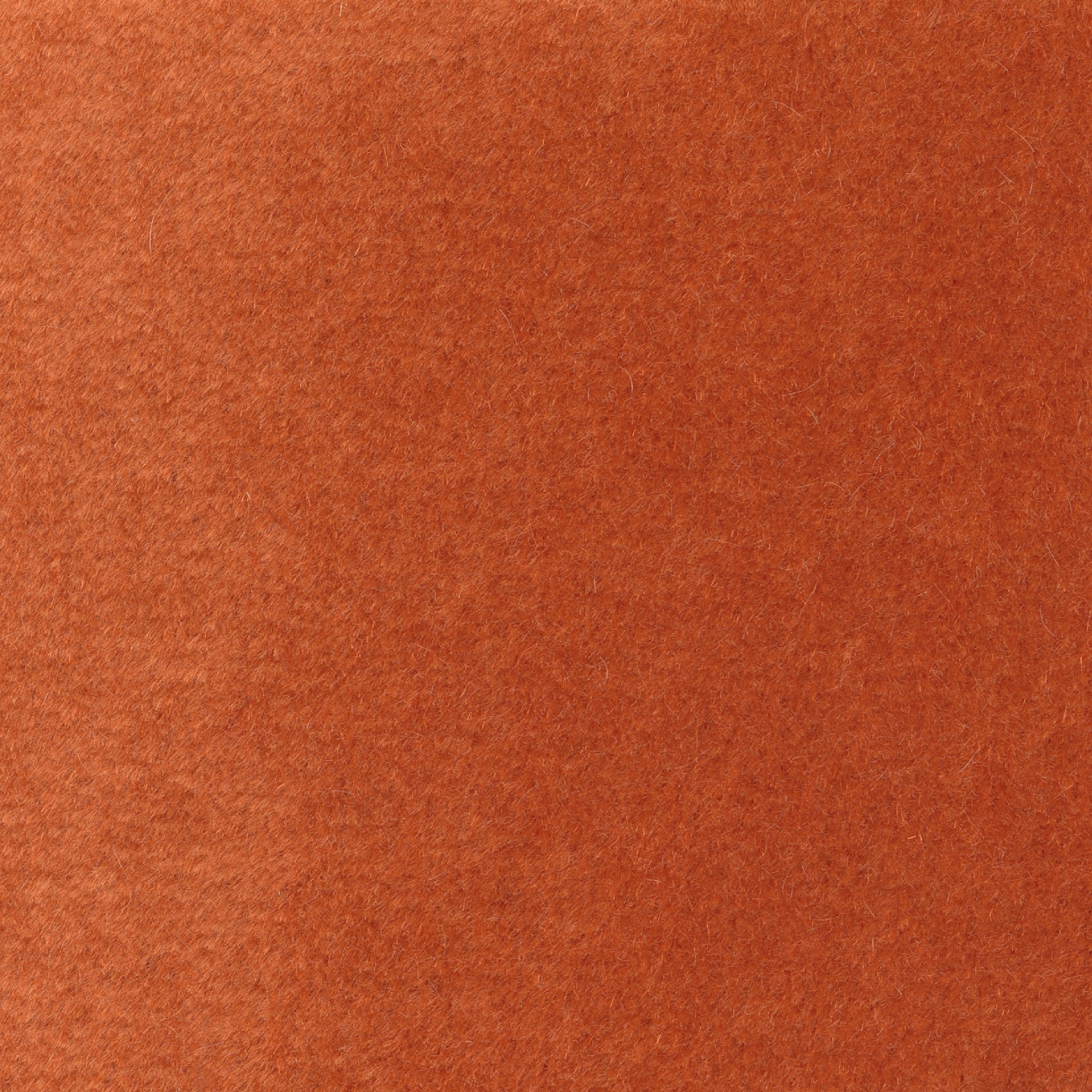 Produkt Pur mohair II | Pour un flirt | WO 108 37 des Herstellers Elitis anzeigen