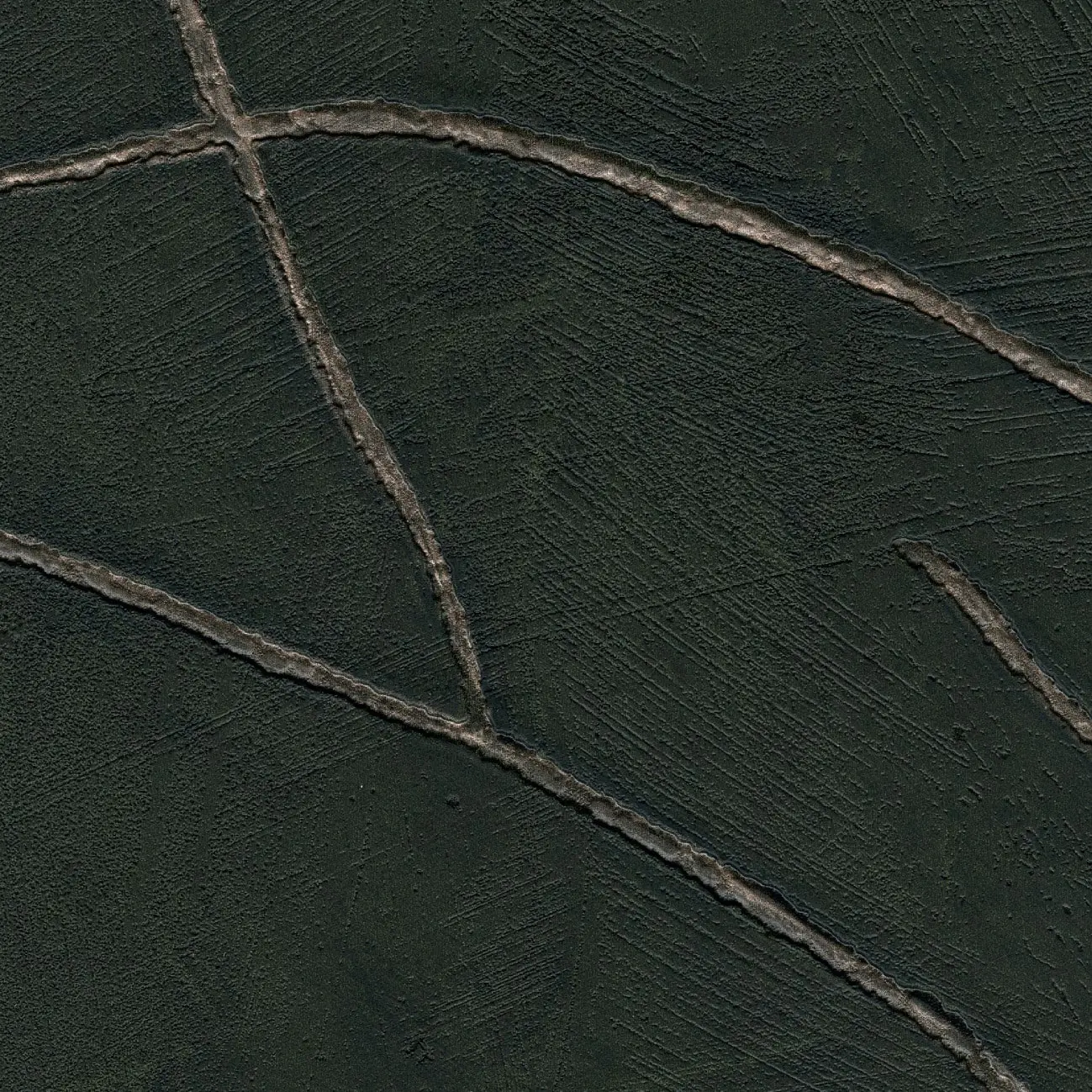 Elitis - Kintsugi | La sagesse du temps | VP 1004 67