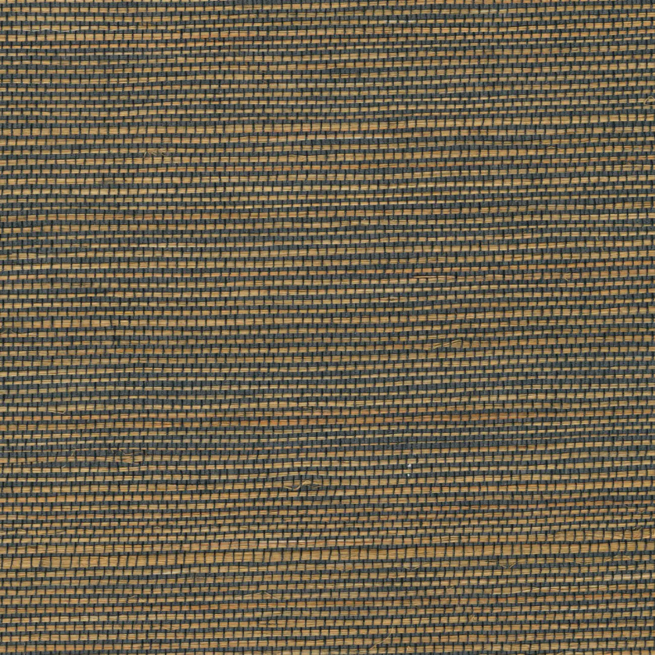 Elitis - Maestria | Une séduction retrouvée | RM 1070 91