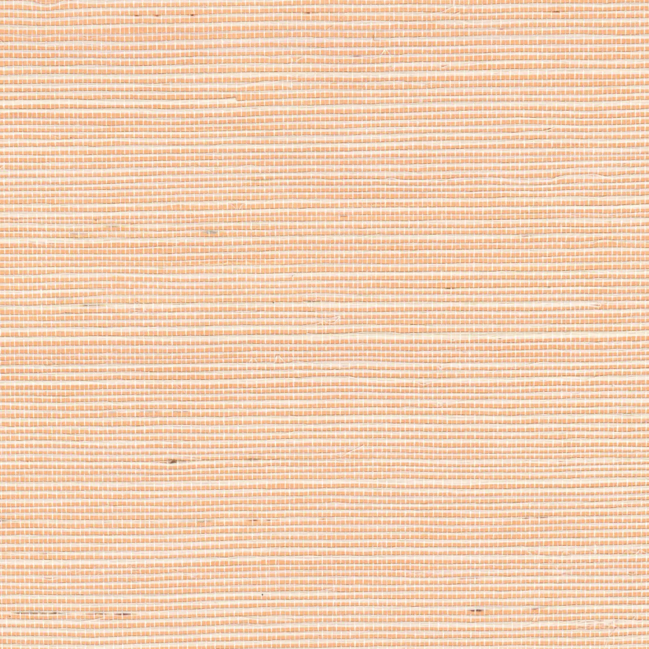 Elitis - Maestria | Une valeur refuge | RM 1073 50