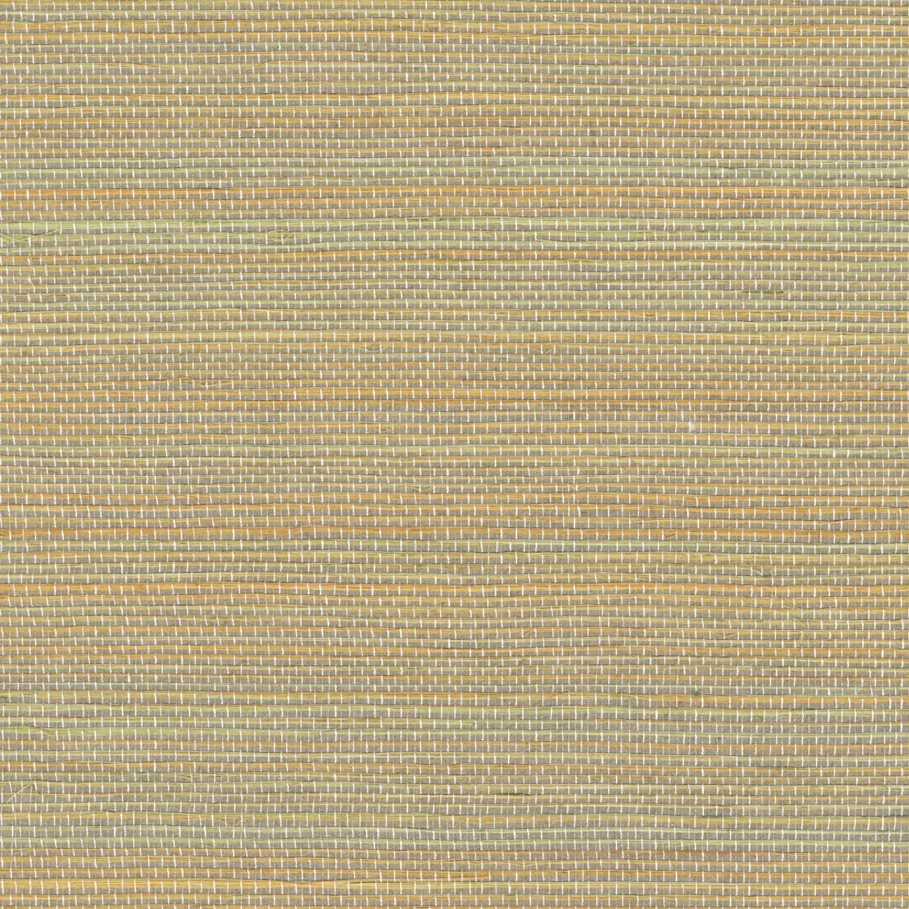 Tribus | D'un pas léger | RM 1070 27