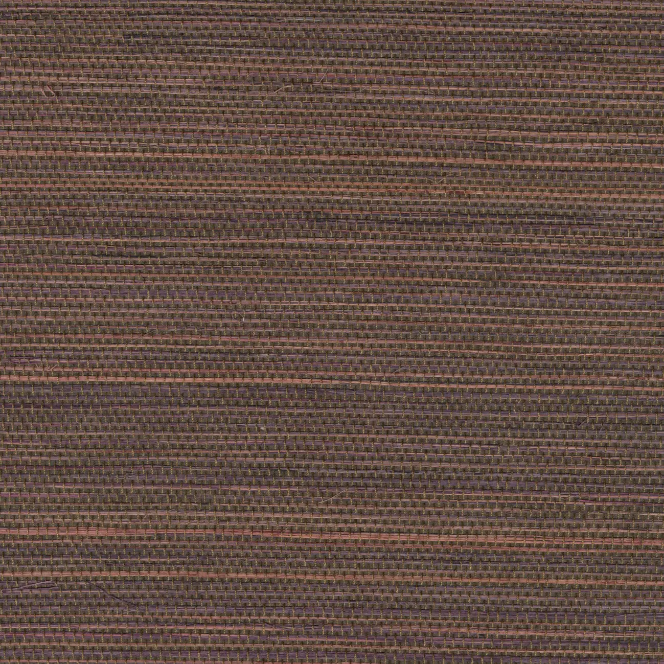 Elitis - Tribus | Terres ancestrales | RM 1070 38