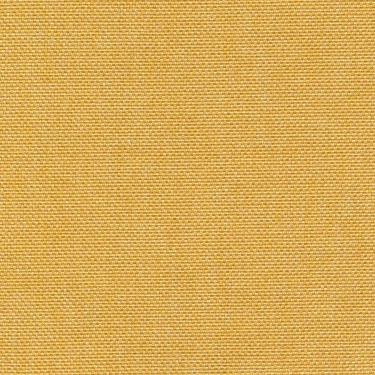 Elitis - Faro | Un parfum agrume | OD 156 22