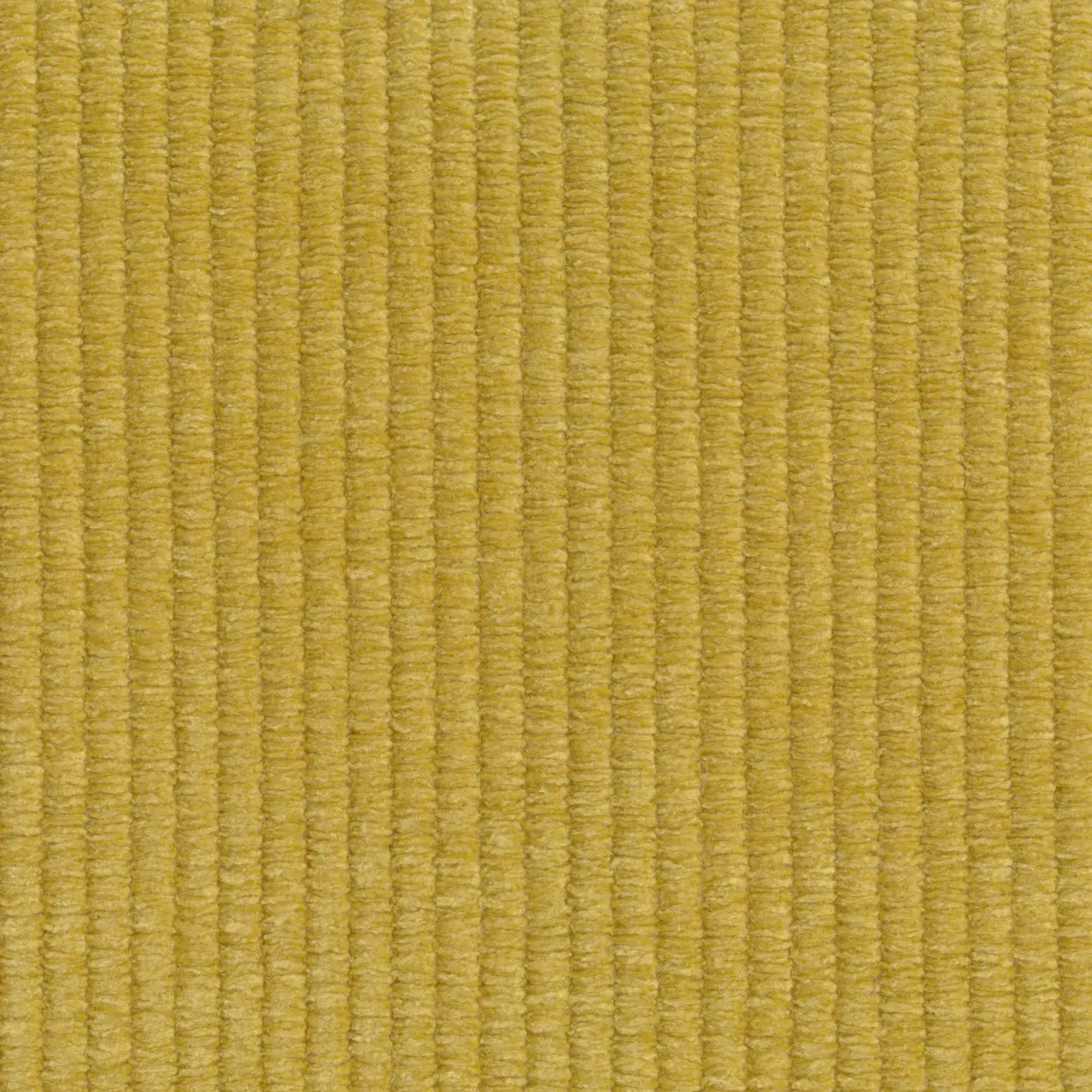 Elitis - Keep it up | État critique | LR 373 23