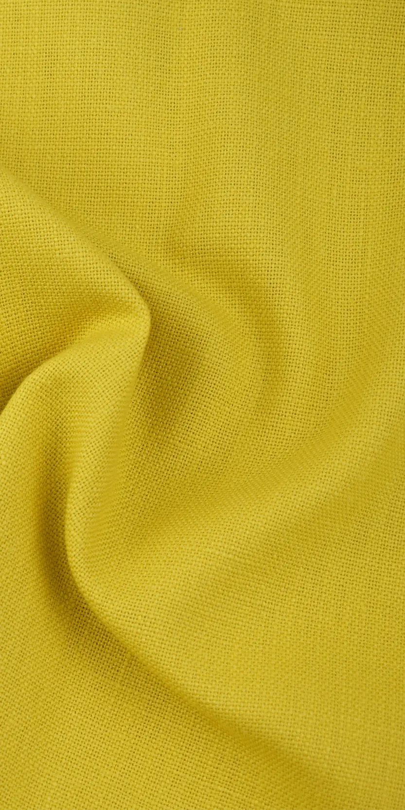 Maasberg - feischee-cotton fr