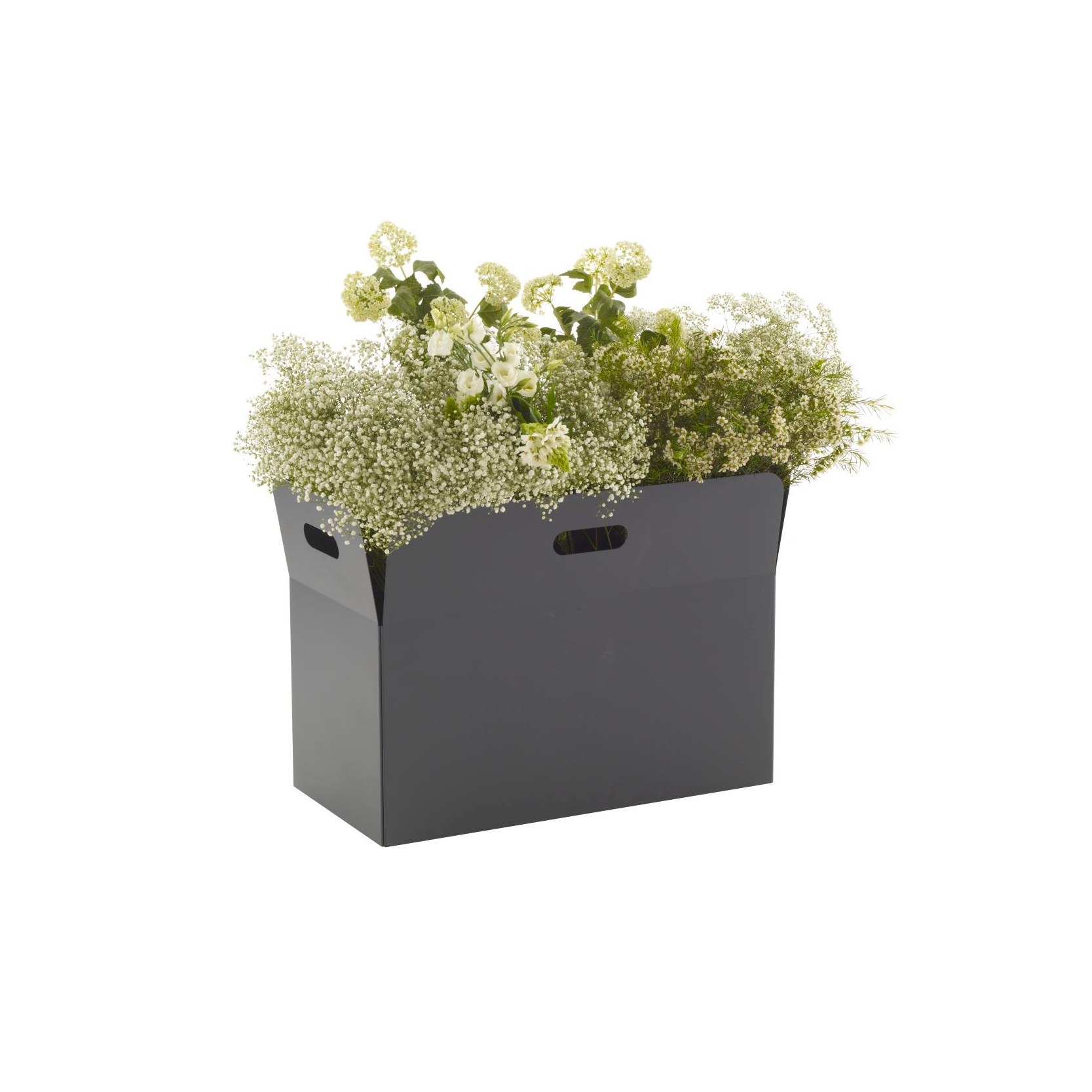 Display product Pot Cover: Giardinetto | Pot Cover Large Rectangular from manufacturer Ligne Roset