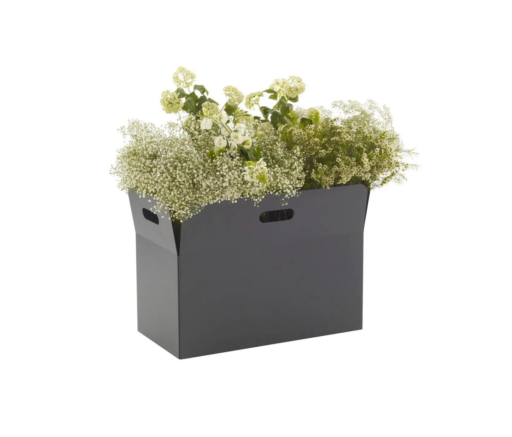 Ligne Roset - Pot Cover: Giardinetto | Pot Cover Large Rectangular