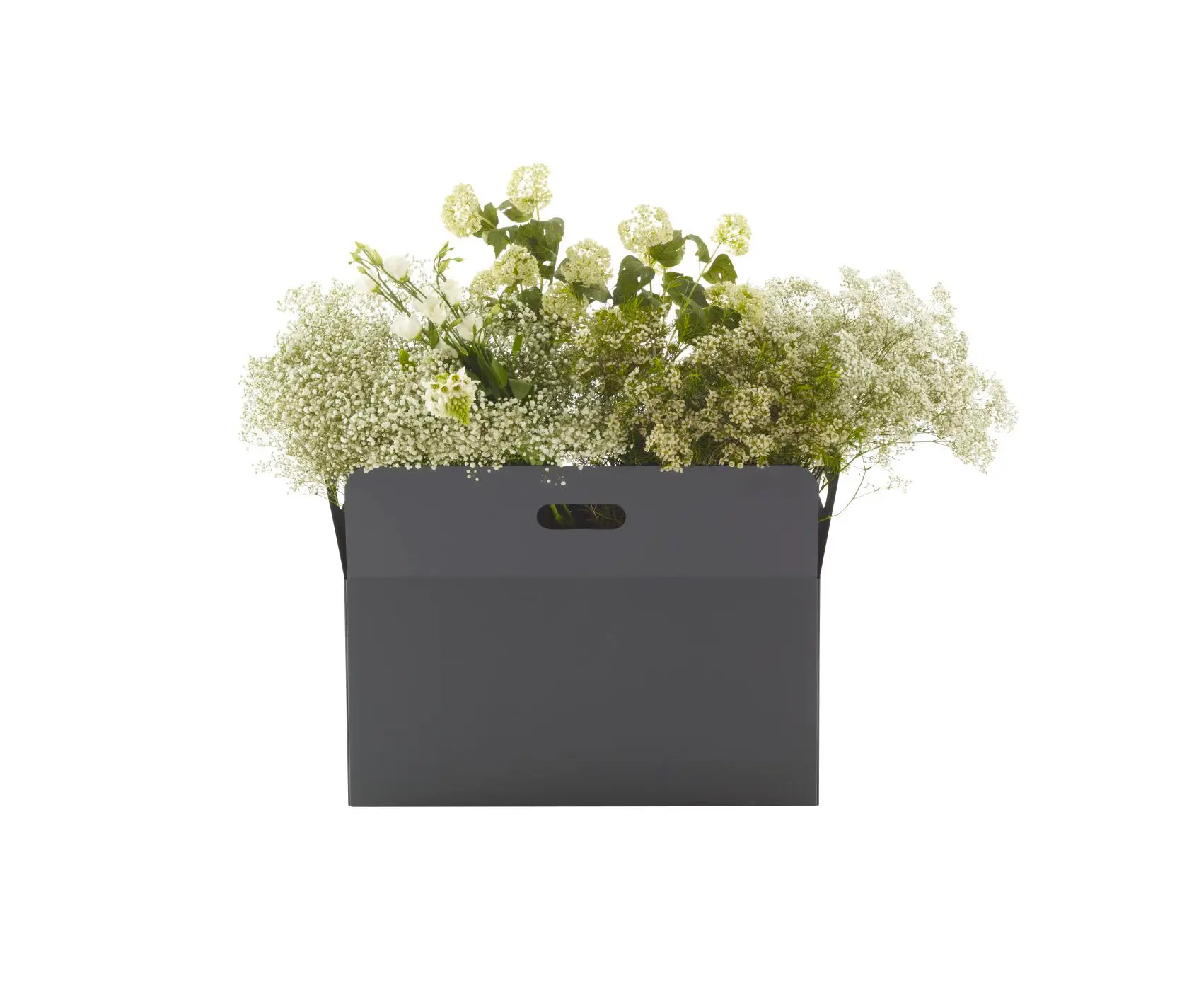 Ligne Roset - Pot Cover: Giardinetto | Pot Cover Large Rectangular