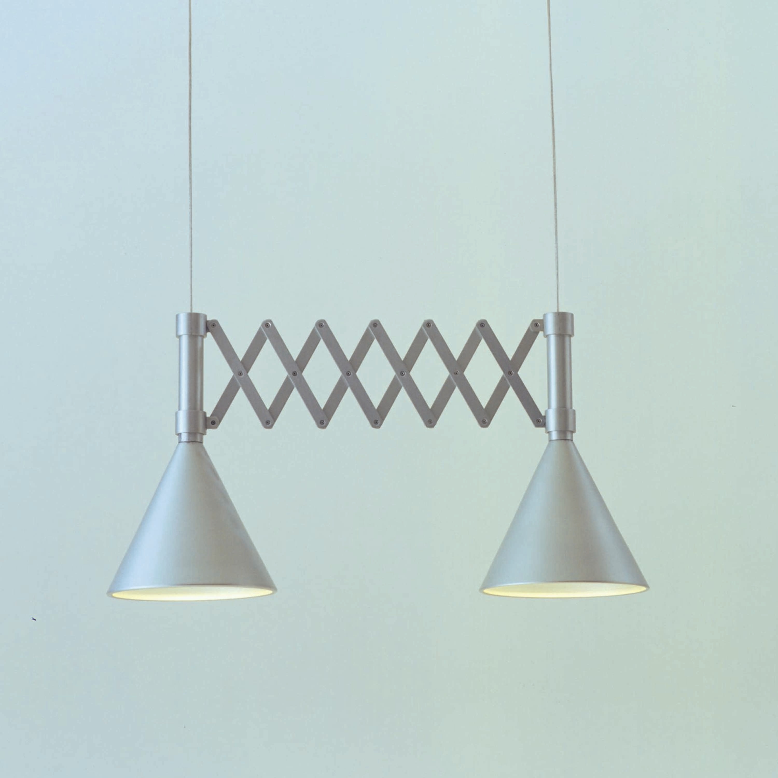 Mostra il prodotto Extensible | Luce Cellulare Sospesa del produttore Ligne Roset