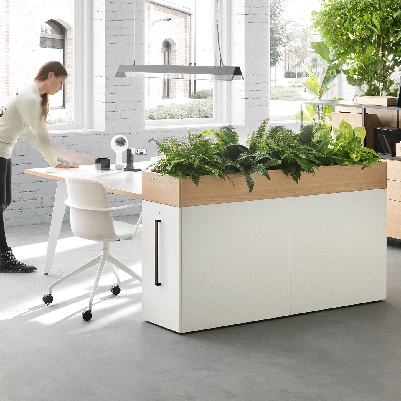 Mostrar el producto Pigreco del fabricante Martex