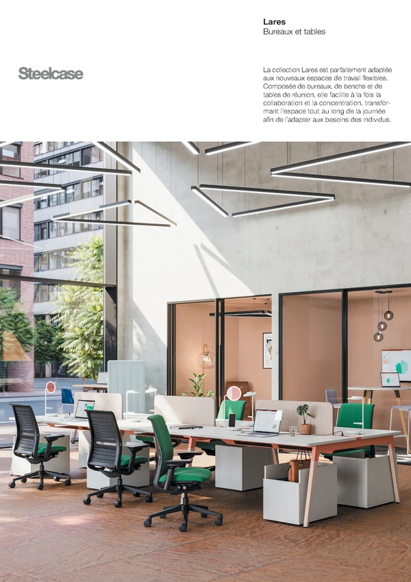 Preview image for the file Lares