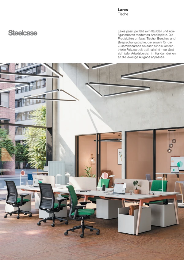 Preview image for the file Lares