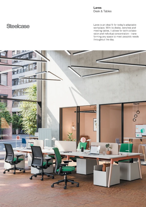 Preview image for the file Lares