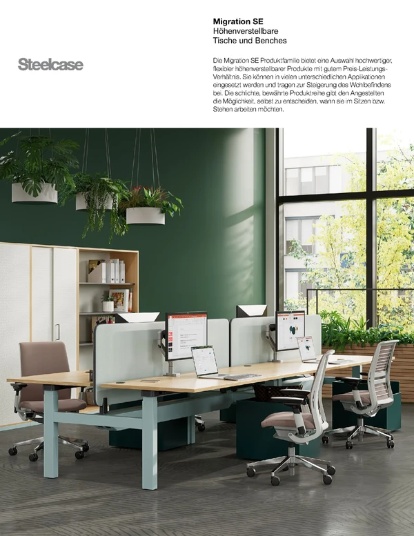 Preview image for the file Migration SE