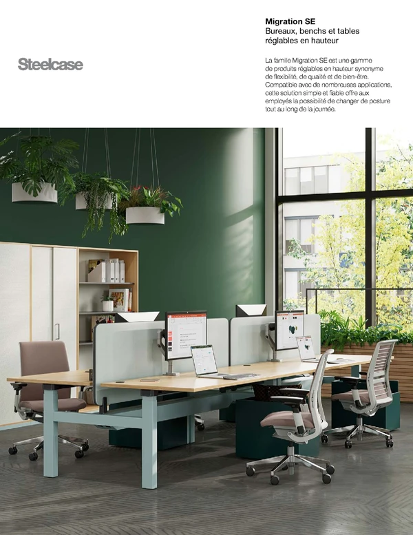 Preview image for the file Migration SE