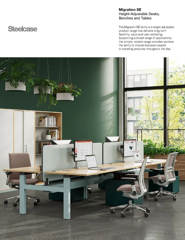 Preview image for the file Migration SE