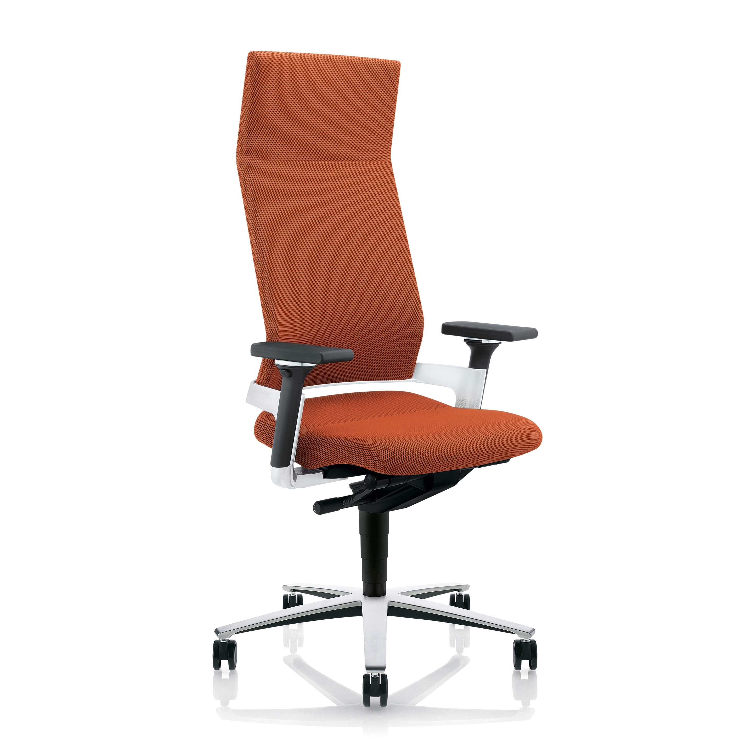 Produkt Lacinta | EL 0583 des Herstellers Züco anzeigen